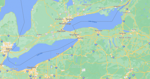 Griffin.png Griffin.png